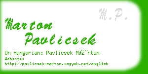 marton pavlicsek business card